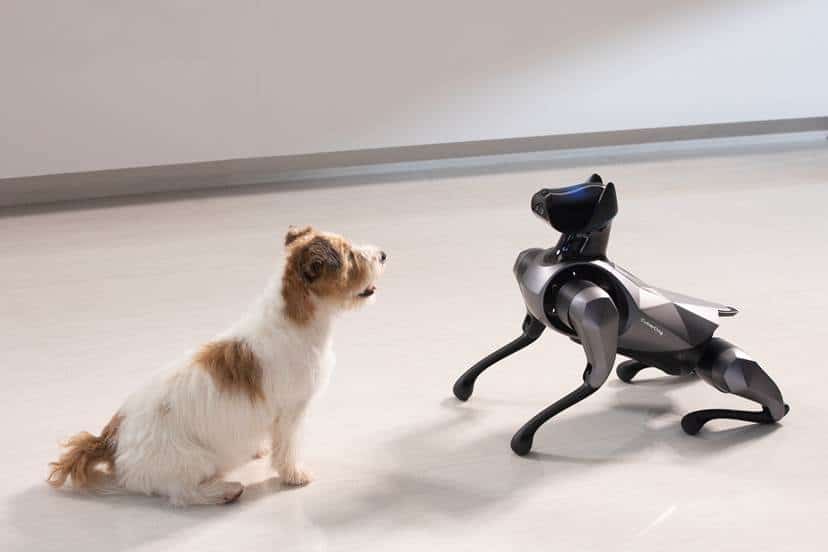 Xiaomi's CyberDog 2 vs Rea Dog